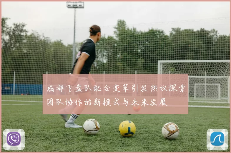 成都飞盘队配合变革引发热议探索团队协作的新模式与未来发展