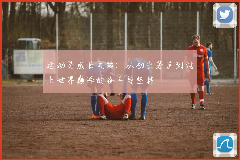 运动员成长之路：从初出茅庐到站上世界巅峰的奋斗与坚持