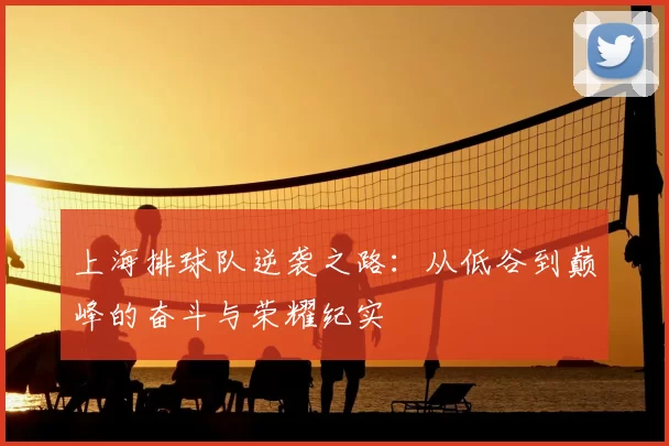 上海排球队逆袭之路：从低谷到巅峰的奋斗与荣耀纪实