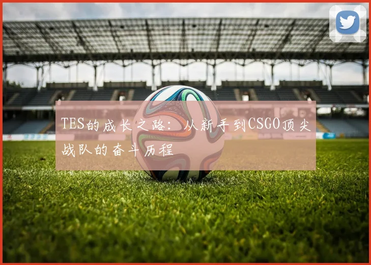 TES的成长之路:从新手到CSGO顶尖战队的奋斗历程