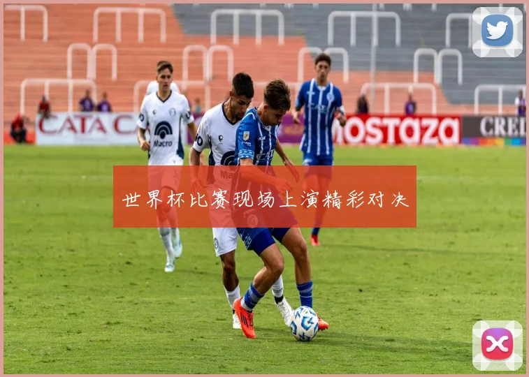 世界杯比赛现场上演精彩对决