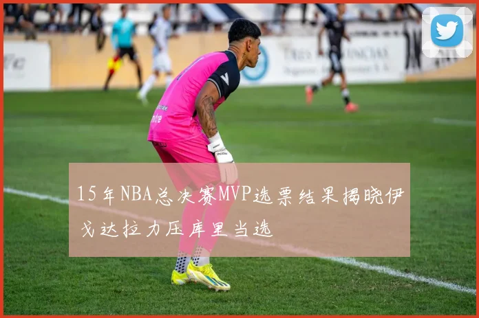 15年NBA总决赛MVP选票结果揭晓伊戈达拉力压库里当选