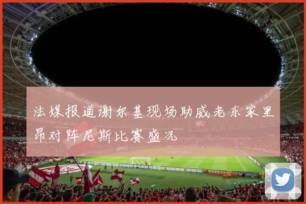 法媒报道谢尔基现场助威老东家里昂对阵尼斯比赛盛况