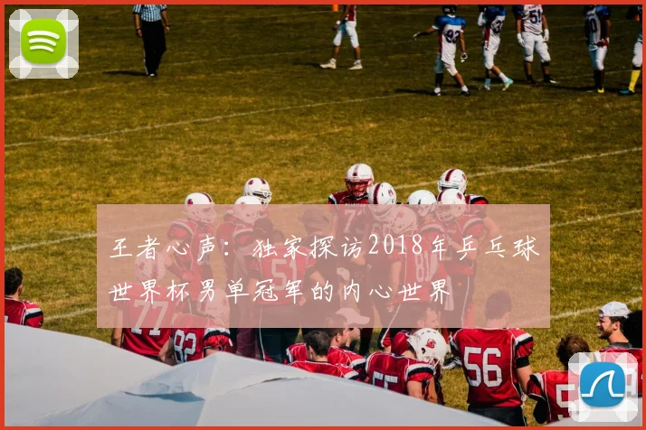 王者心声：独家探访2018年乒乓球世界杯男单冠军的内心世界