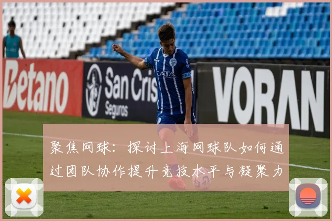 聚焦网球：探讨上海网球队如何通过团队协作提升竞技水平与凝聚力